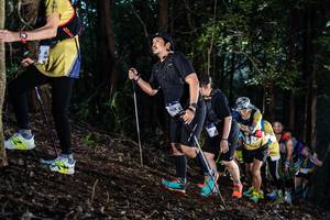 BIB: 8121
                            <button type="button" onclick="openModal(19041966)" class="btn btn-primary btn-sm float-right btn-popup" data-toggle="modal" data-target=".modal-high-quality">
                        <i class="fas fa-shopping-cart"></i> Add to Cart
                    </button>
                                            <button type="button" onclick="isThisMe(19041966, true)" class="btn btn-success btn-sm float-right btn-popup btn-isme hidden" data-toggle="tooltip" data-placement="bottom" title="นี่คือรูปของคุณใช่ไหม คลิกที่นี่เพื่อเอาเข้าอัลบั้ม">
                        <i class="fas fa-plus"></i> Add to album
                    </button>
                    <button type="button" onclick="isThisMe(19041966, false)" class="btn btn-warning btn-sm float-right btn-popup btn-isnotme hidden">
                        <i class="fas fa-ban"></i> Remove from album
                    </button>